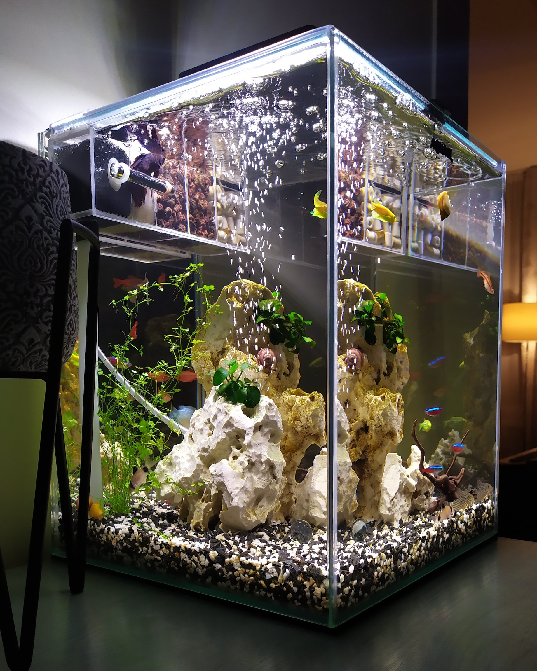 Gestalten Sie Ihr eigenes Aquarium nach Maß einfach online!